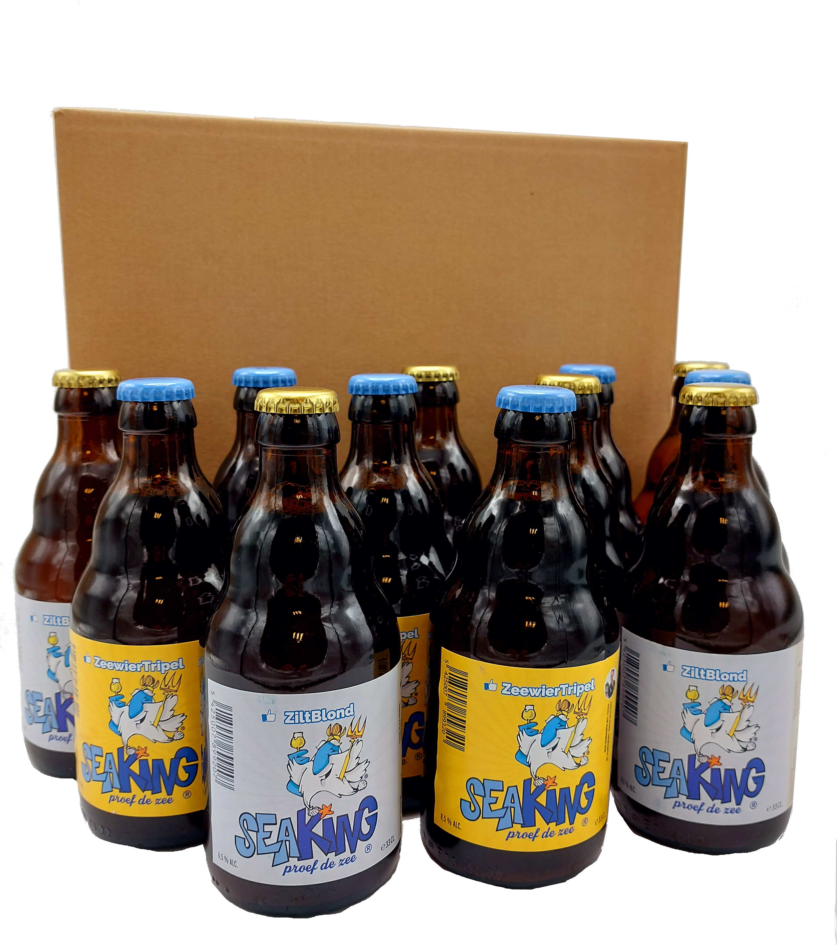 Seaking Discovery Box 12x33cl - Belgian Brewed